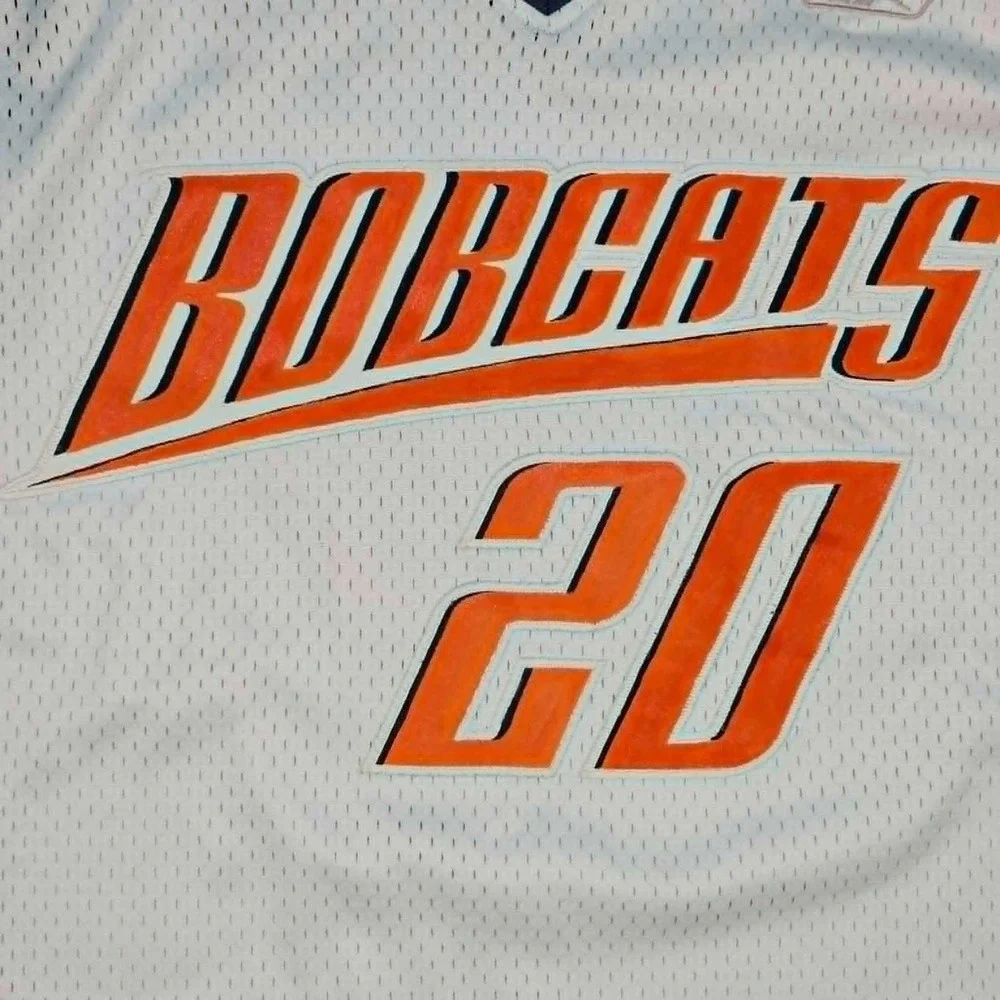 Charlotte Bobcats Vintage Y2K Raymond Felton Reebok Basketball Jersey